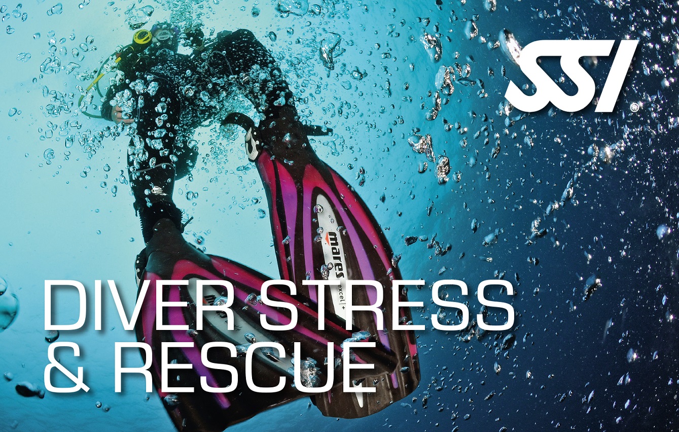 Image of Diver Stress and Rescue Scuba Certification Card